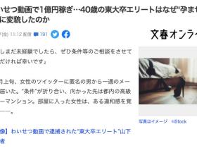 FC2卖家是个好生意⋯“孕ませマン”赚到1亿円！
