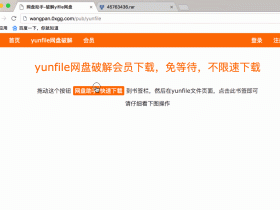 yunfile网盘破解会员下载，免等待，不限速下载