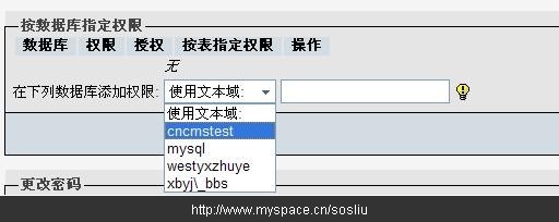 phpmyadmin中为站点设置mysql权限的图文教程-图片8